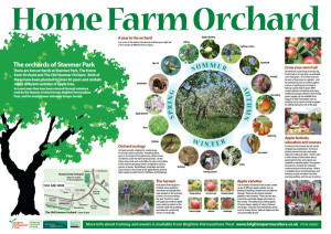 Home Orchard Design
