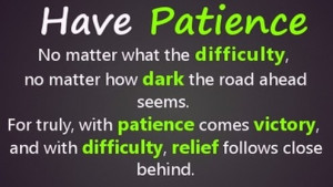 ... You Need: Employing The Power Of Patience To Achieve Success In Life
