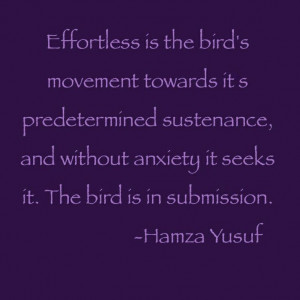 hamza yusuf quote