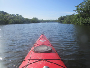 repairing dewalt saw 321 blue book block quotes stadium seat for sale ...