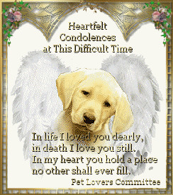 Pet Loss Guestbook Graphics by the Pet Lovers Committee