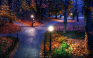 美丽的夜景图片