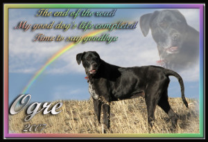Dog Death Quotes Rainbow Bridge Ogre died on 9 october 2007 and i am ...