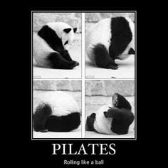 panda bear doing pilates rolling like a ball more pandas pilates ...