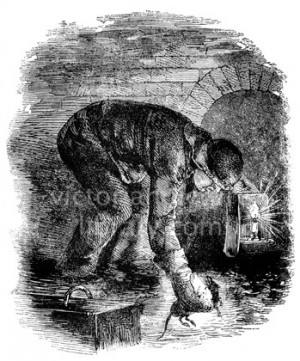 Victorian Rat Catcher