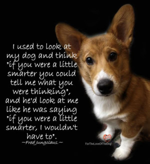 Best Dog Quotes