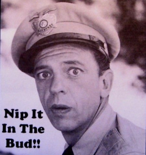 Barney Fife: Well, today’s eight-year-olds are tomorrow’s ...