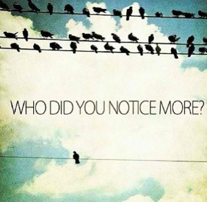 Bird quote - dare to be different