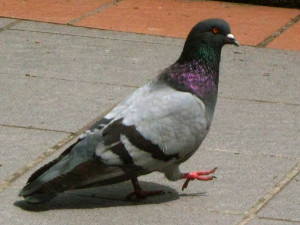 ... you don't have enemies, you don't have character. ~ Paul Newman #quote