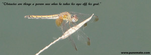 Facebook Cover Photo Dragonfly quotes on obstacles and goals