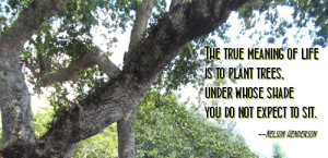 The true meaning of life is to plant trees, under whose shade you do ...