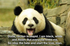 cute, fluffy, hate, love, panda, zoo