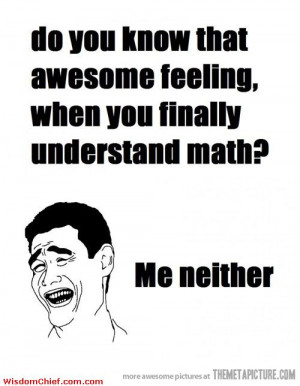 ... When You Finally Understand Math? Funny Meme Comics Quote Picture