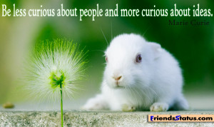 Be less curious about people and more curious about ideas. ~ Marie ...