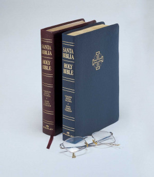 Details about Santa Biblia Bilingue/ Holy Bible Bilingual Spanish ...