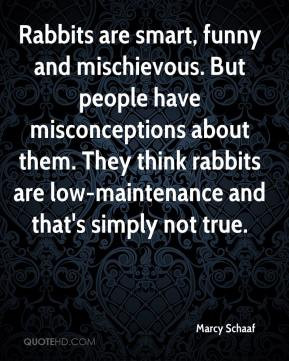 ... . They think rabbits are low-maintenance and that's simply not true