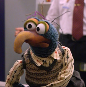Gonzo from the 1st season of The Muppet Show , with sad and immobile ...