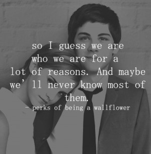 Tag Archives: Perks of Being A WallFlower quote