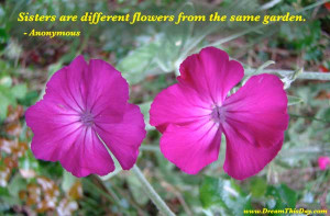 Sisters are different flowers from the same garden .