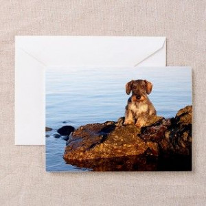 Funny British Sayings Greeting Cards Funny British Sayings Cards