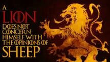 lion does not concern himself with the opinions of a sheep