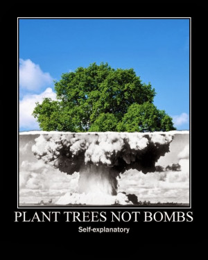 planting trees is one of the most basic of environmental acts it ...