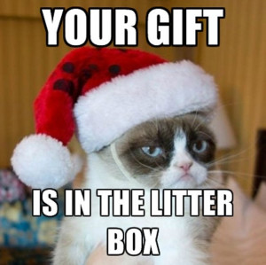 ... under funny pet pictures tagged under cats christmas grumpy cat meme