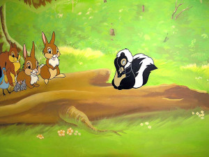 Awww - Flower the lovable skunk!