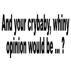 no_crybaby_whiners_humor_yard_sign.jpg?height=250&width=250 ...