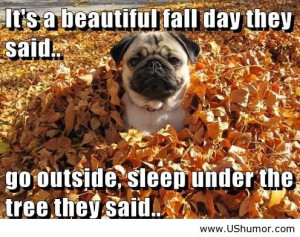 ... funny kids, funny pic, funny pictures, humor, funny images and quotes