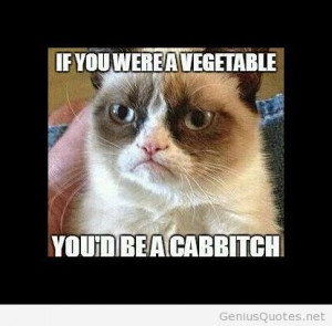 Related Pictures grumpy cat quotes christmas