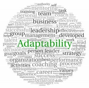 alladaptability means flexibility or adaptableness; in other words to ...
