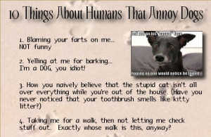 10 Things about humans that annoy dogs….