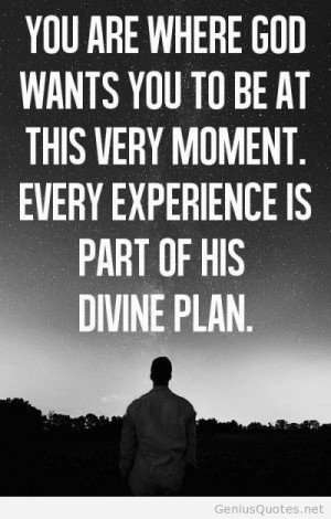 Life experience divine plan quote