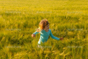 Sunny Spring Day Wheat on sunny spring day