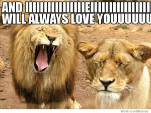 And IIIIIIIIEIIIIII WILL ALWAYS LOVE YOUUUUUUU – Lion