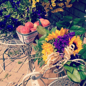 Peaches and bloomsLink in to find the nearest market open today! # ...