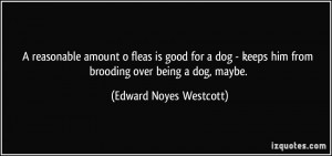 reasonable amount o fleas is good for a dog - keeps him from ...