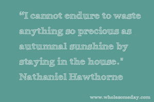 Quote from Nathaniel Hawthorne