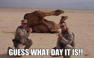 Wednesday Hump Day