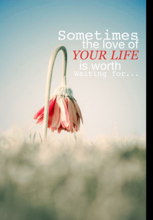 sometimes the love of your life is worth waiting for...