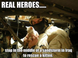 Behind the Photo: Soldiers Save Kitten from Iraq Sandstorm