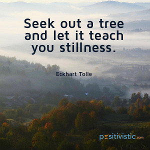 quote on stillness: eckhart tolle seek tree teaching lessons stillness ...