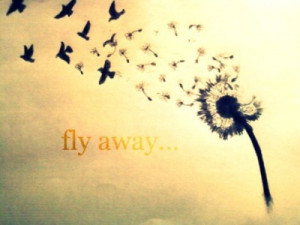 bird, birds, dandelion, drawing, flower, fly, free, freedom, pretty ...