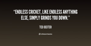 Endless cricket, like endless anything else, simply grinds you down ...