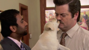 Ron-Swanson-16.png