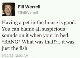 Will Ferrell Funniest tweet