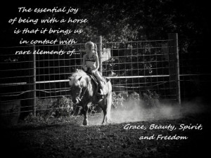 Horse Quotes About Love