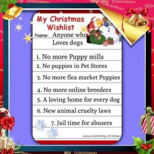 My Christmas Wish List!