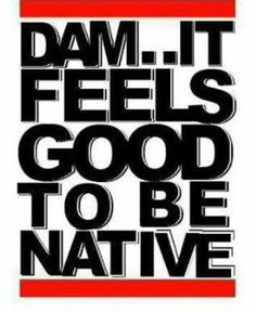 Native Pride Quotes And Photo